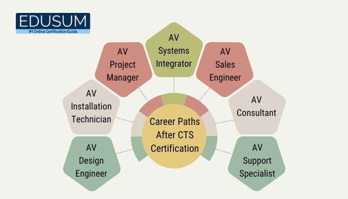 Career Paths After CTS Certification